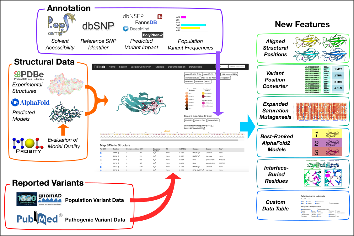 summary of TITINdb pipeline